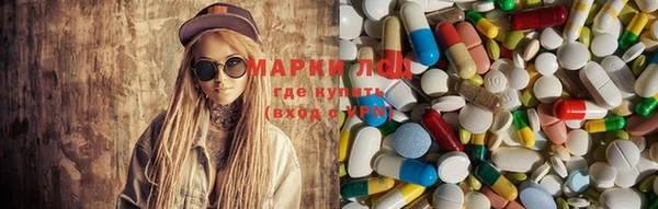 крисы Новодвинск
