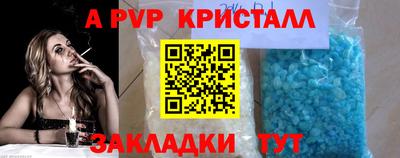 стаф Заводоуковск