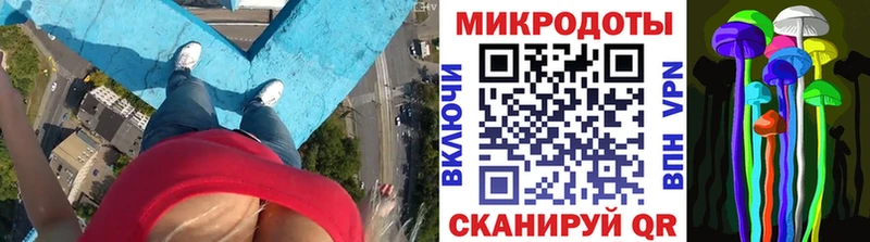 Псилоцибиновые грибы Cubensis  хочу наркоту  Тара 