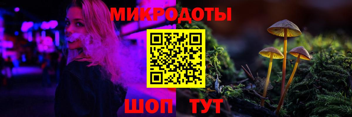Псилоцибиновые грибы GOLDEN TEACHER Тара