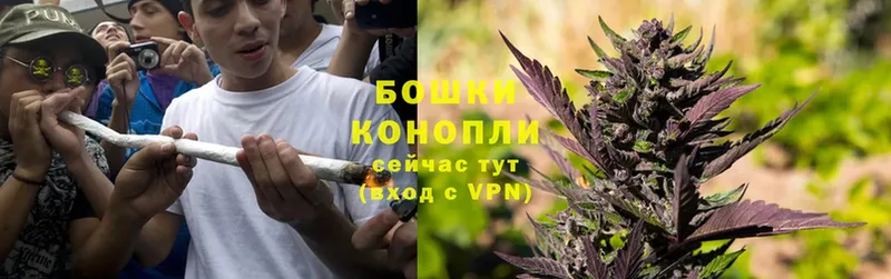 наркота  Тара  Шишки марихуана THC 21% 